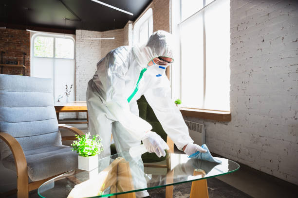 Professional Mold Removal & Remediation in Williamson, WV